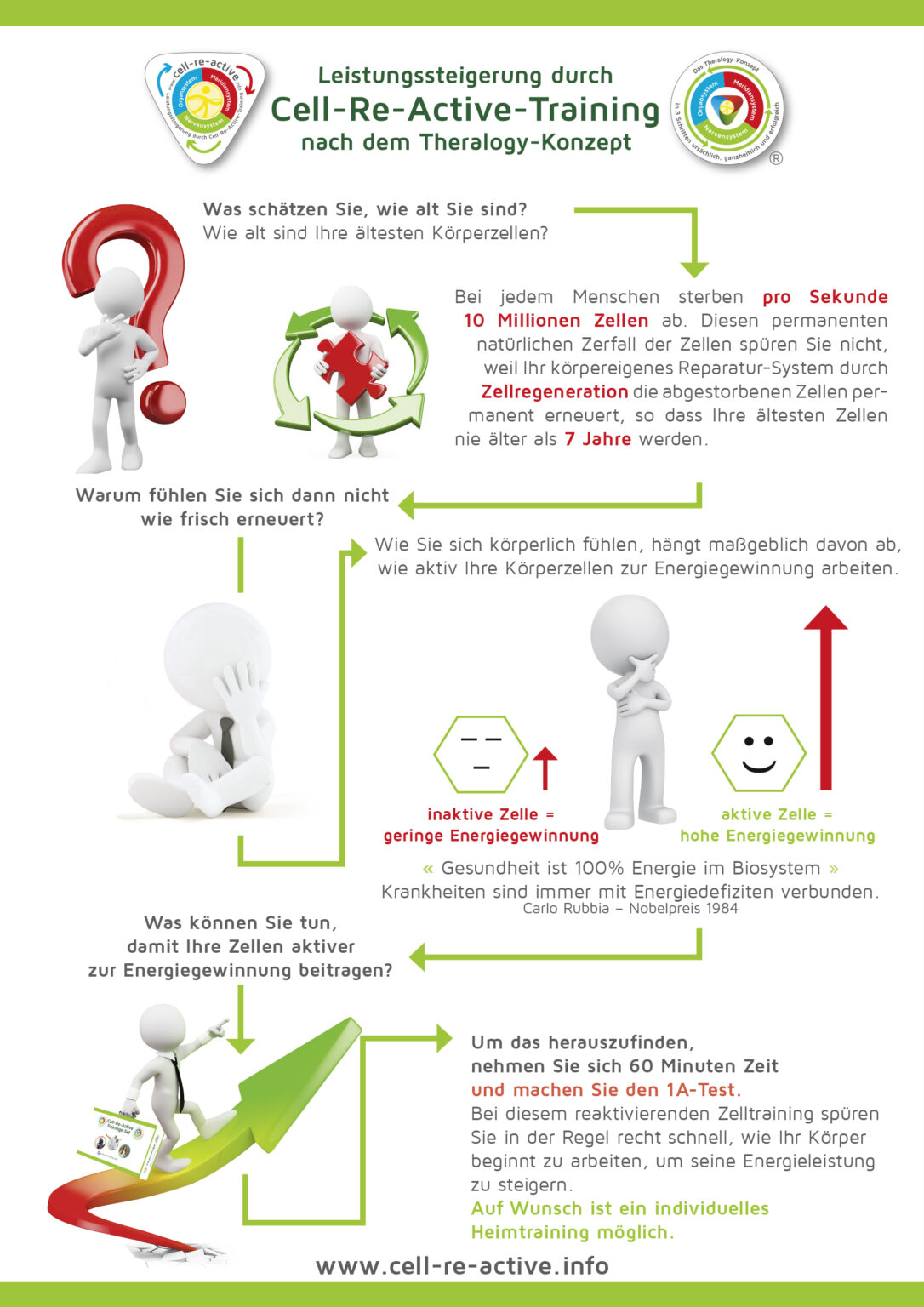 Active Training Cell-Re-Active Training - Aktivwerk